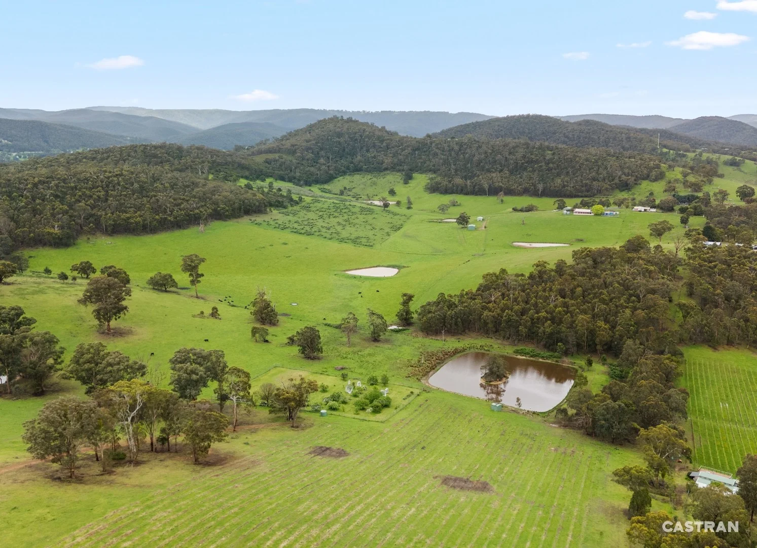 120 Wills Road, Dixons Creek VIC 3775