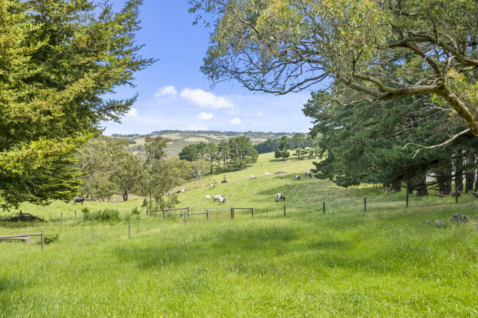 Additional image 29 of 137 Faggotter Road, Myponga SA 5202