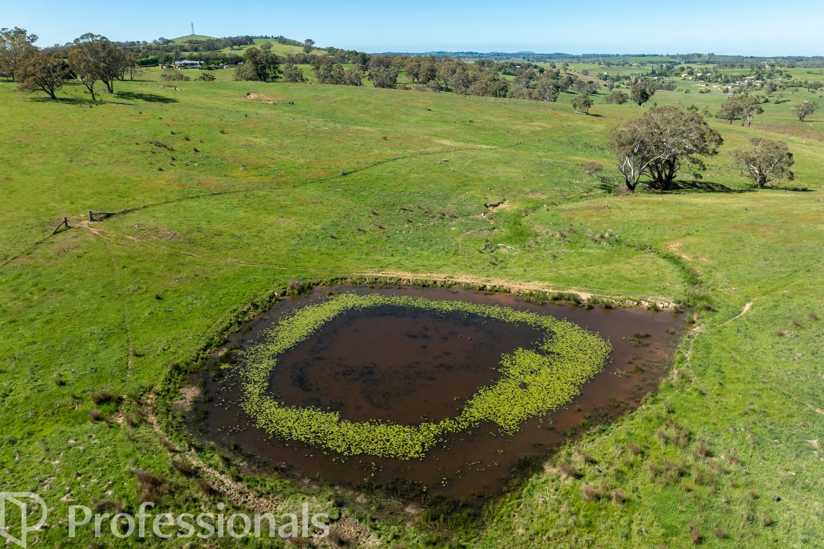 Additional image 35 of 225 Emu Swamp Road, Orange NSW 2800