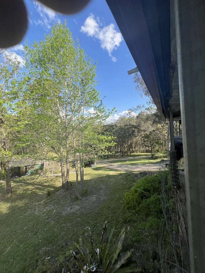 Additional image 6 of 179 Petroi Road, Lower Creek NSW 2440