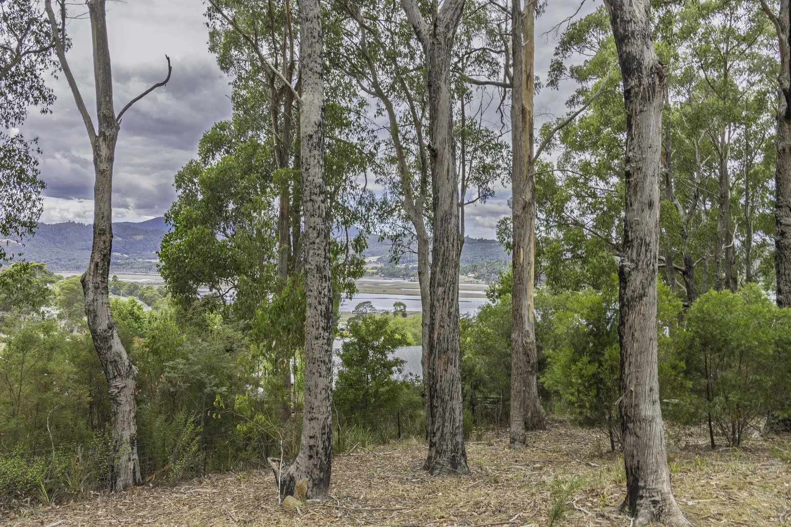 Additional image 4 of 55 Braeside Road, Franklin TAS 7113