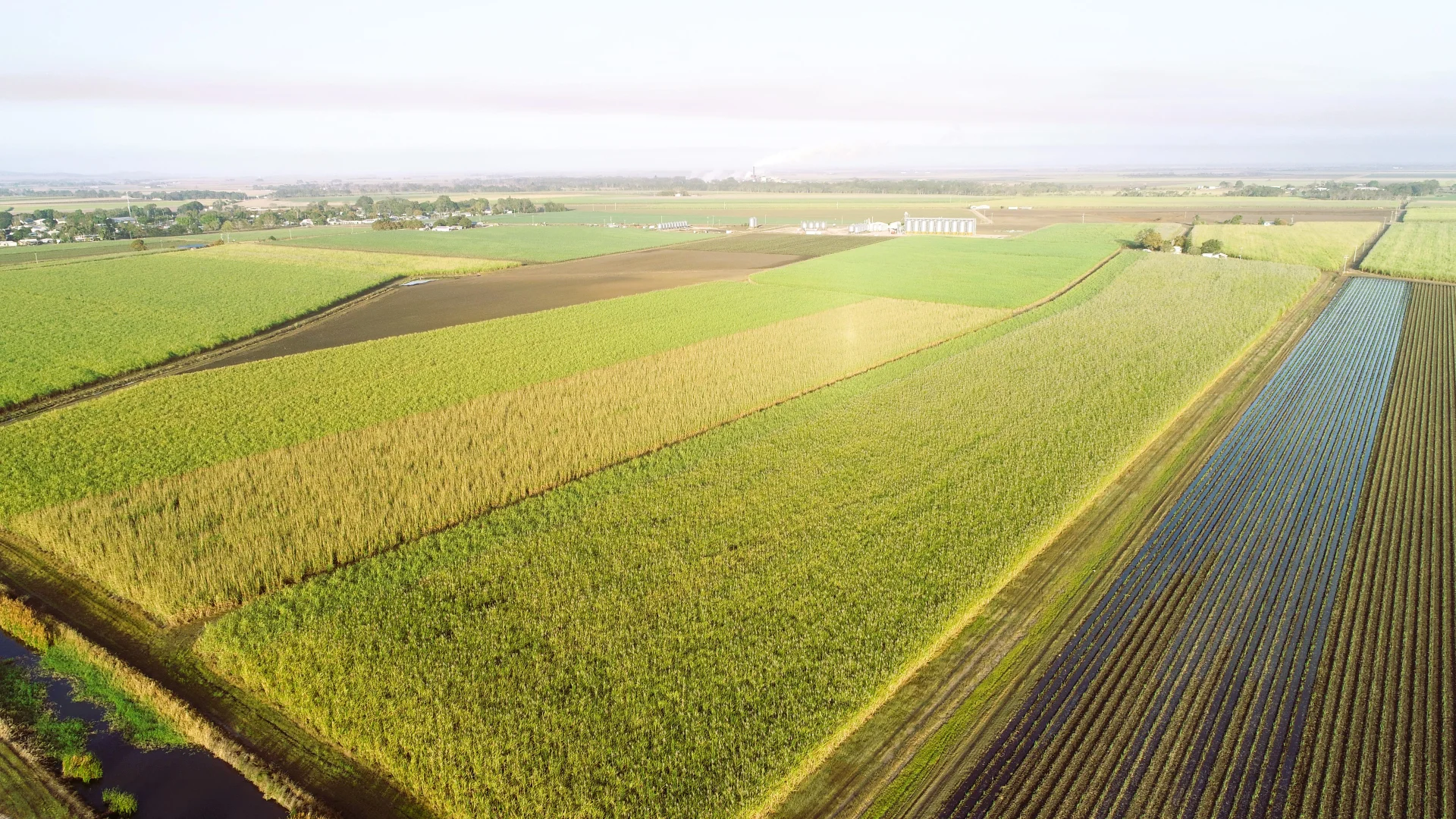 Additional image 4 of 20 Colevale Road, Brandon QLD 4808