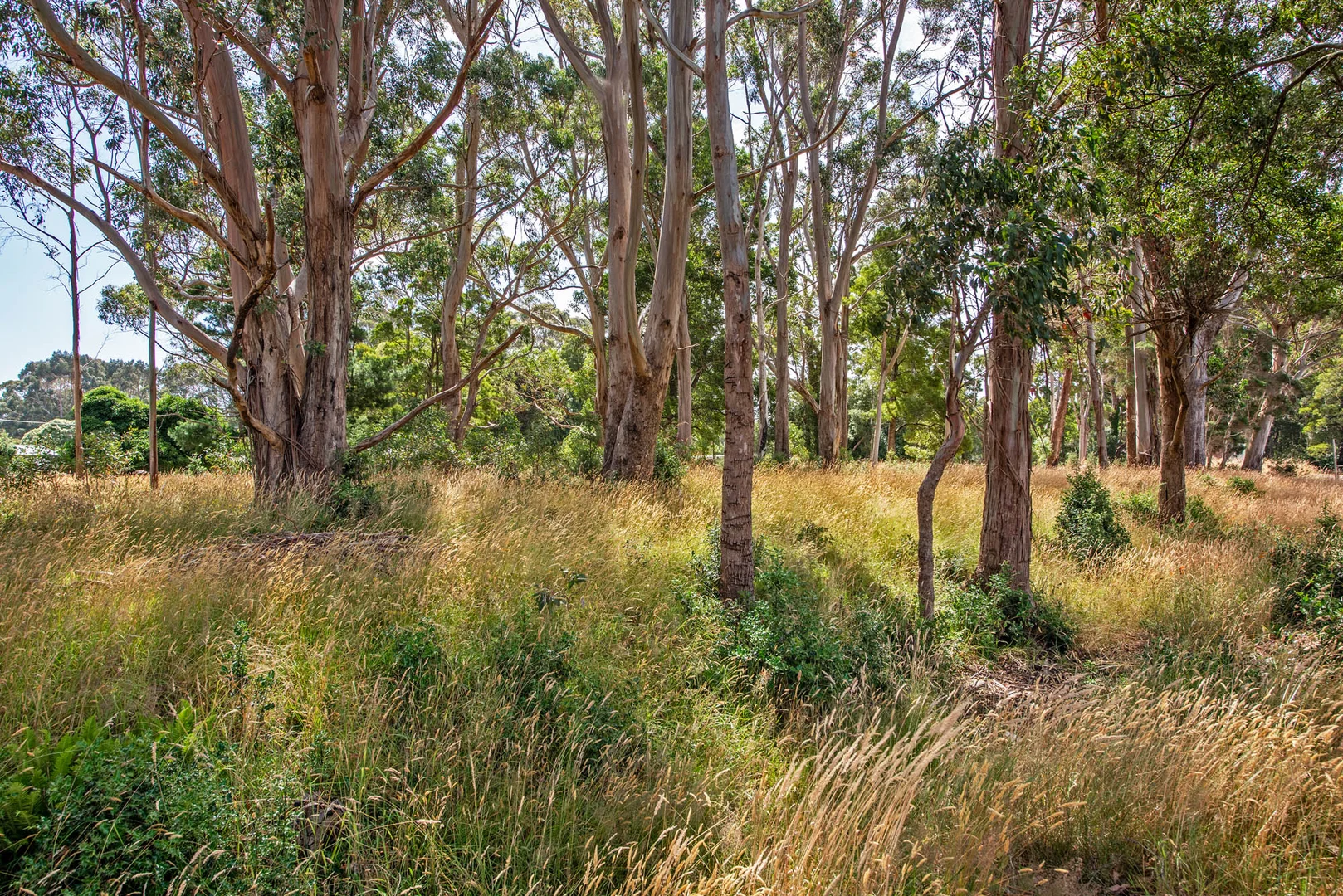Additional image 3 of LAND Andrew Street, Strahan TAS 7468