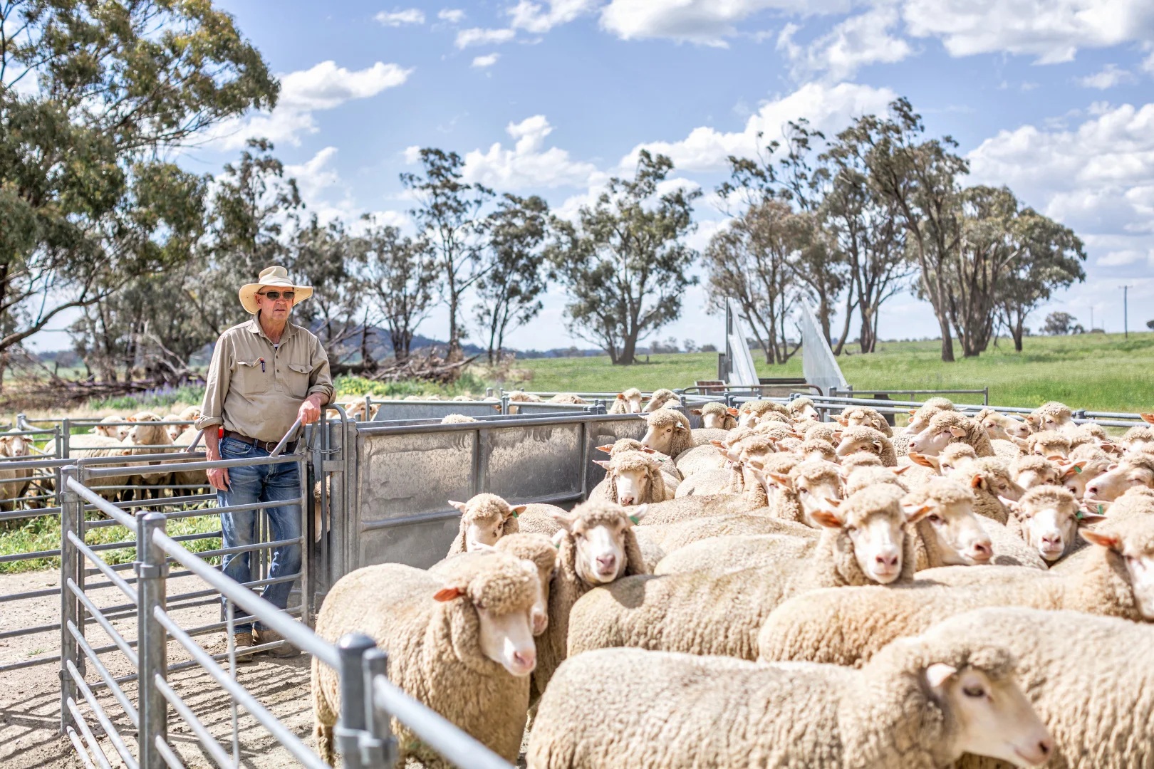 Additional image 20 of 1349 Trungley Hall Road, Temora NSW 2666