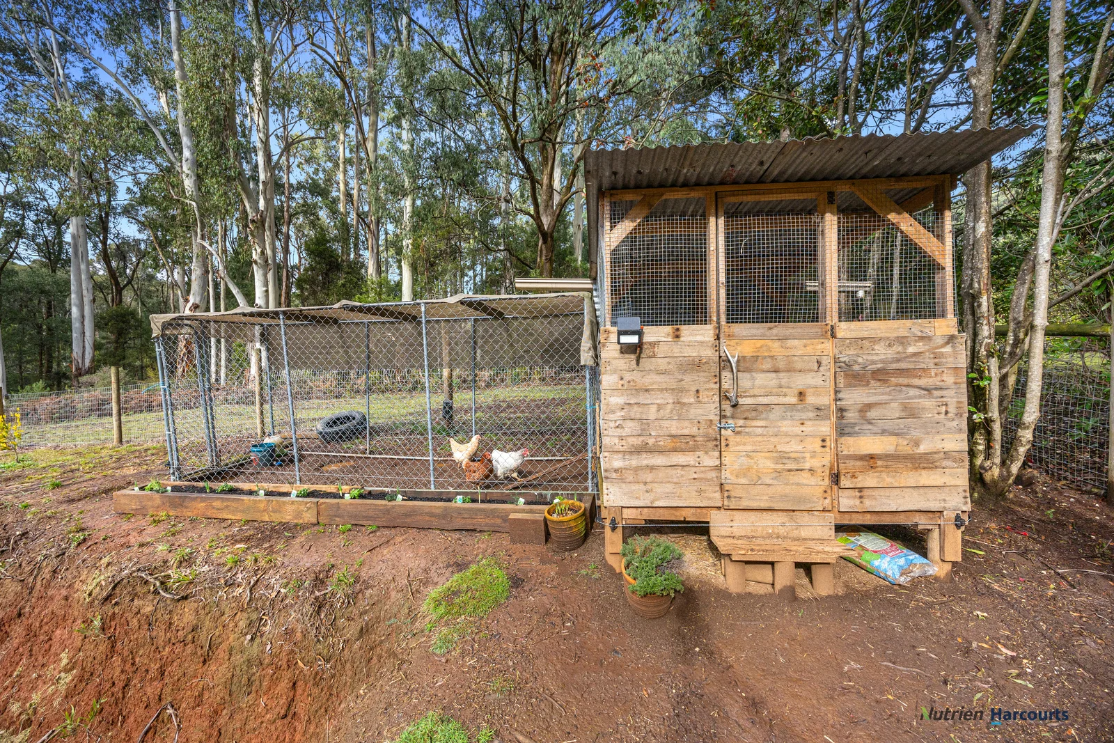 Additional image 19 of 426 Maroondah Highway, Narbethong VIC 3778