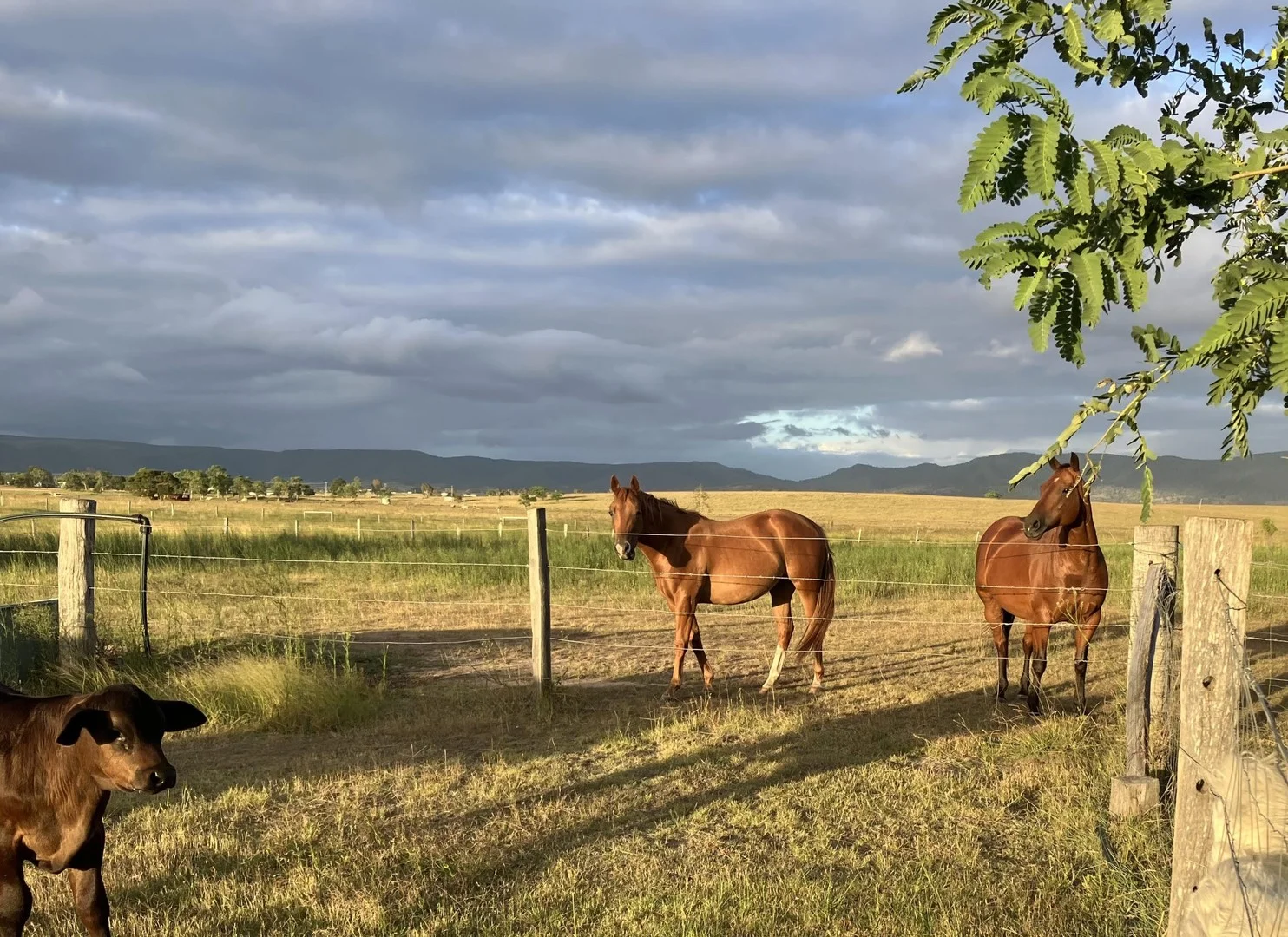 Additional image 2 of 307 Silverleaves Road, Mount Beppo QLD 4313