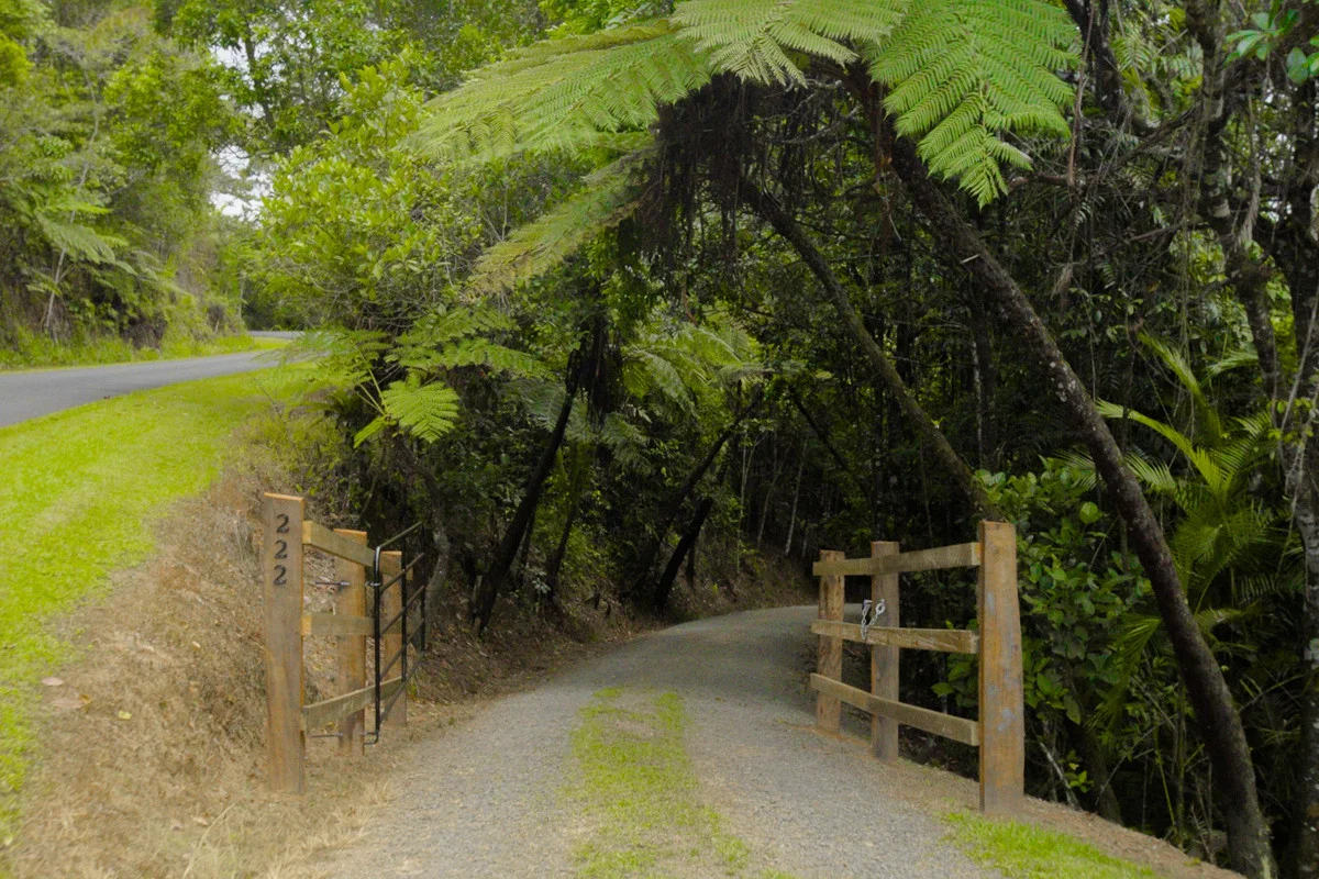 Additional image 5 of 222 Hitchconole Road, Tarzali QLD 4885