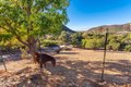 Additional image 61 of 356 E Carlisle Rd, Thousand Oaks, CA, 91361