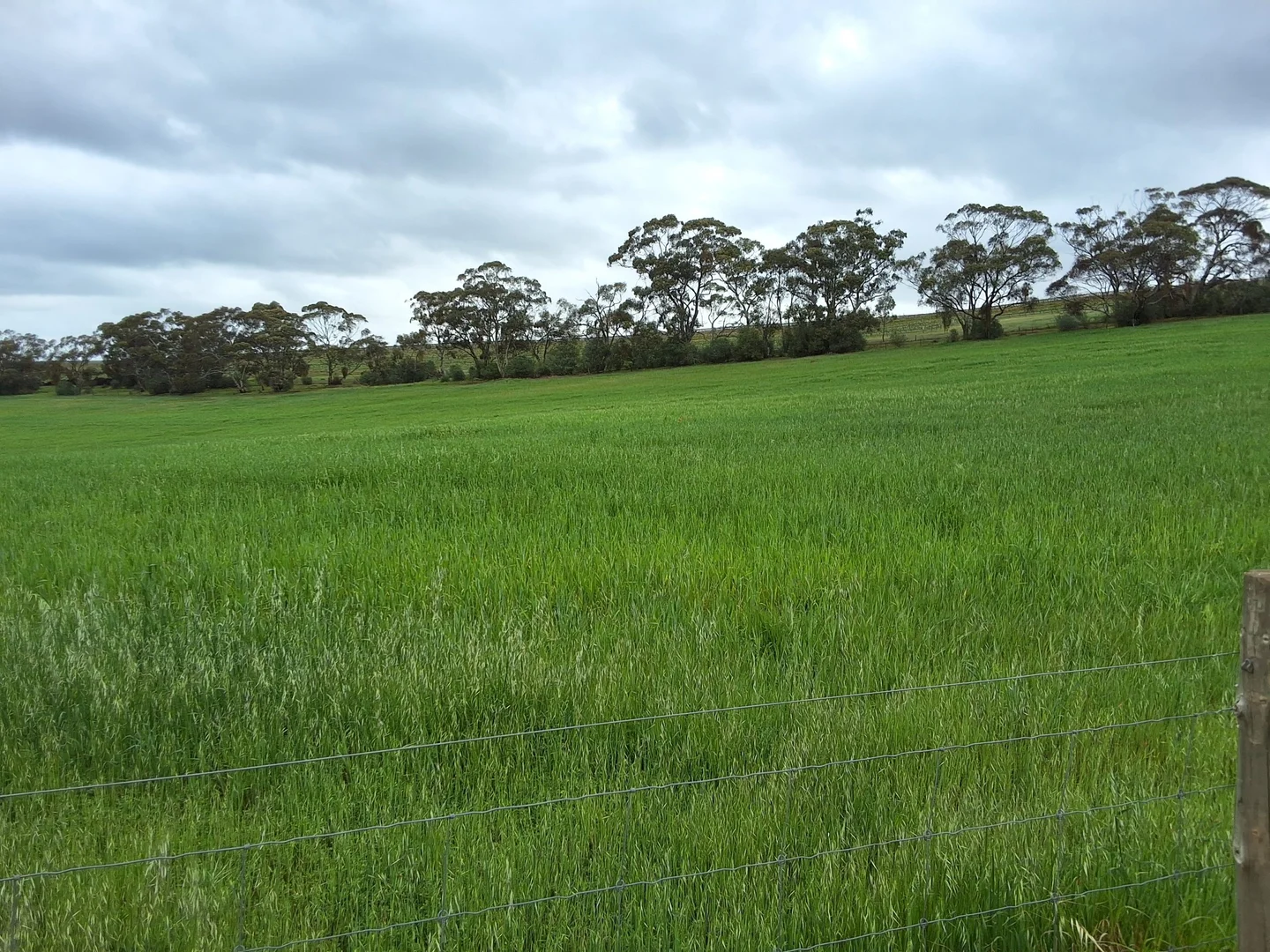 Additional image 10 of 176 Grace Road, Leasingham SA 5452