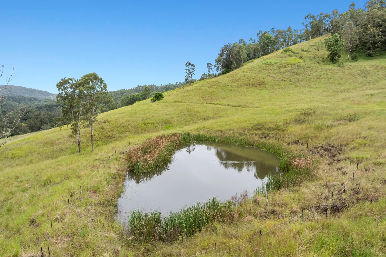 Additional image 22 of 473 Smiths Creek Road, Afterlee NSW 2474