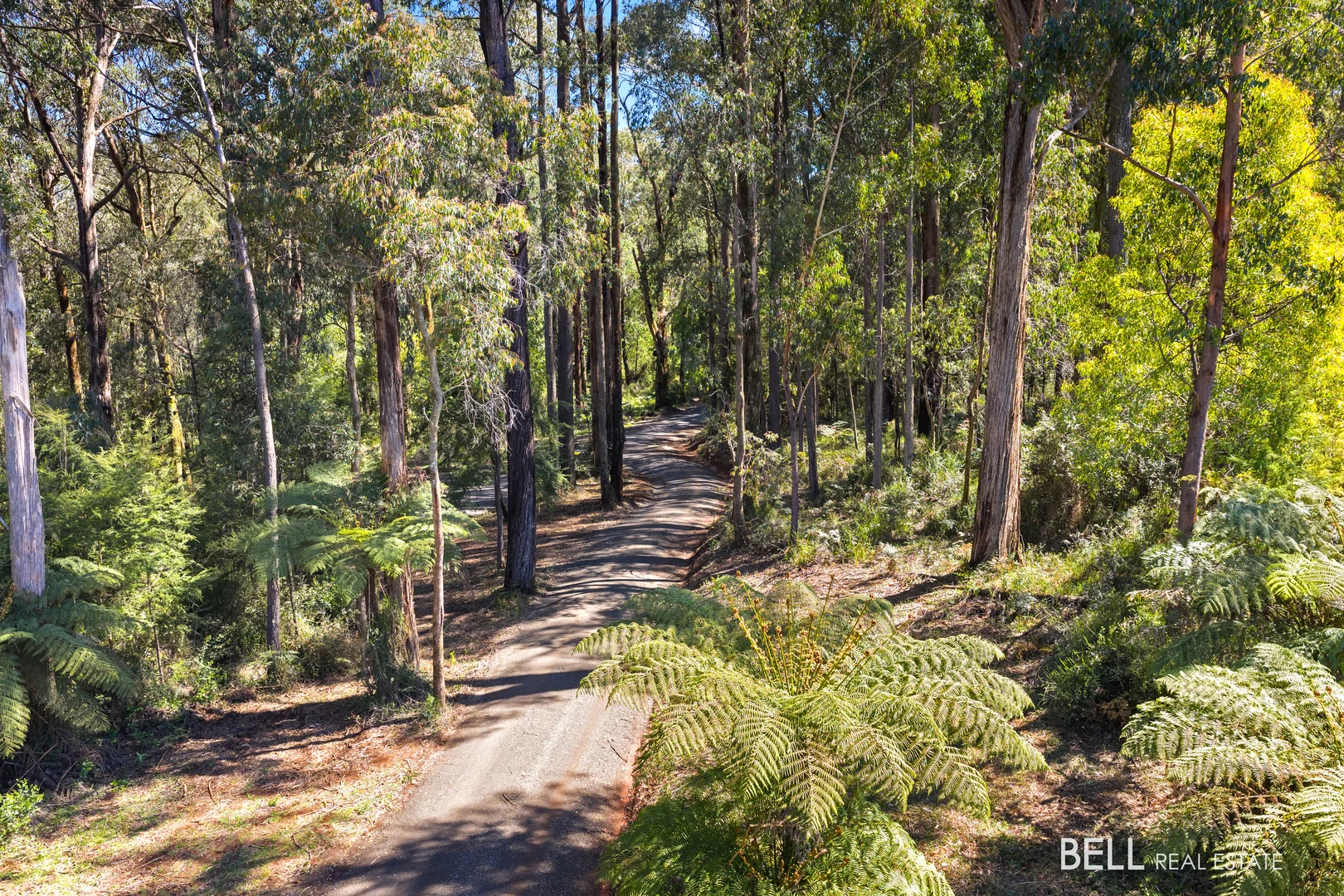Additional image 25 of 595 Thonemans Road, Hoddles Creek VIC 3139