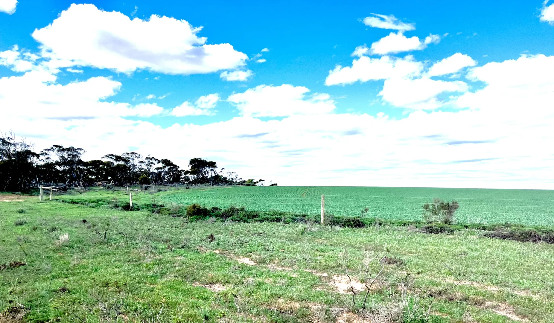 Additional image 48 of 2944 OTC Road, Wandana SA 5690