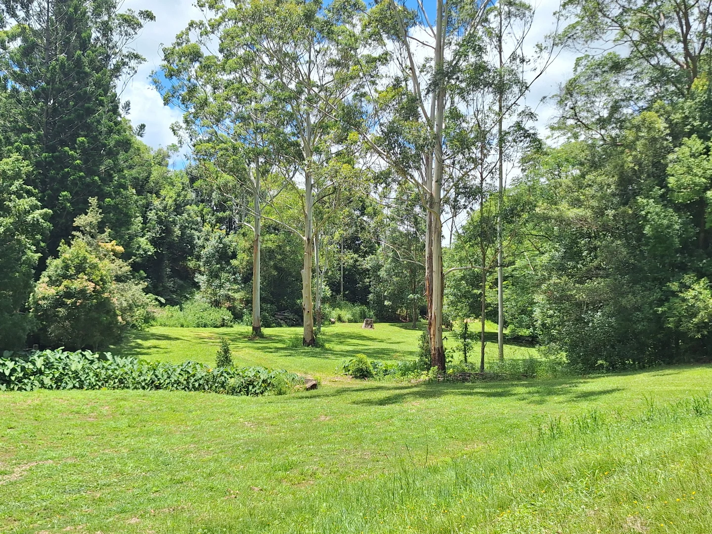 Additional image 15 of 291 Upper Crystal Creek Road, Crystal Creek NSW 2484