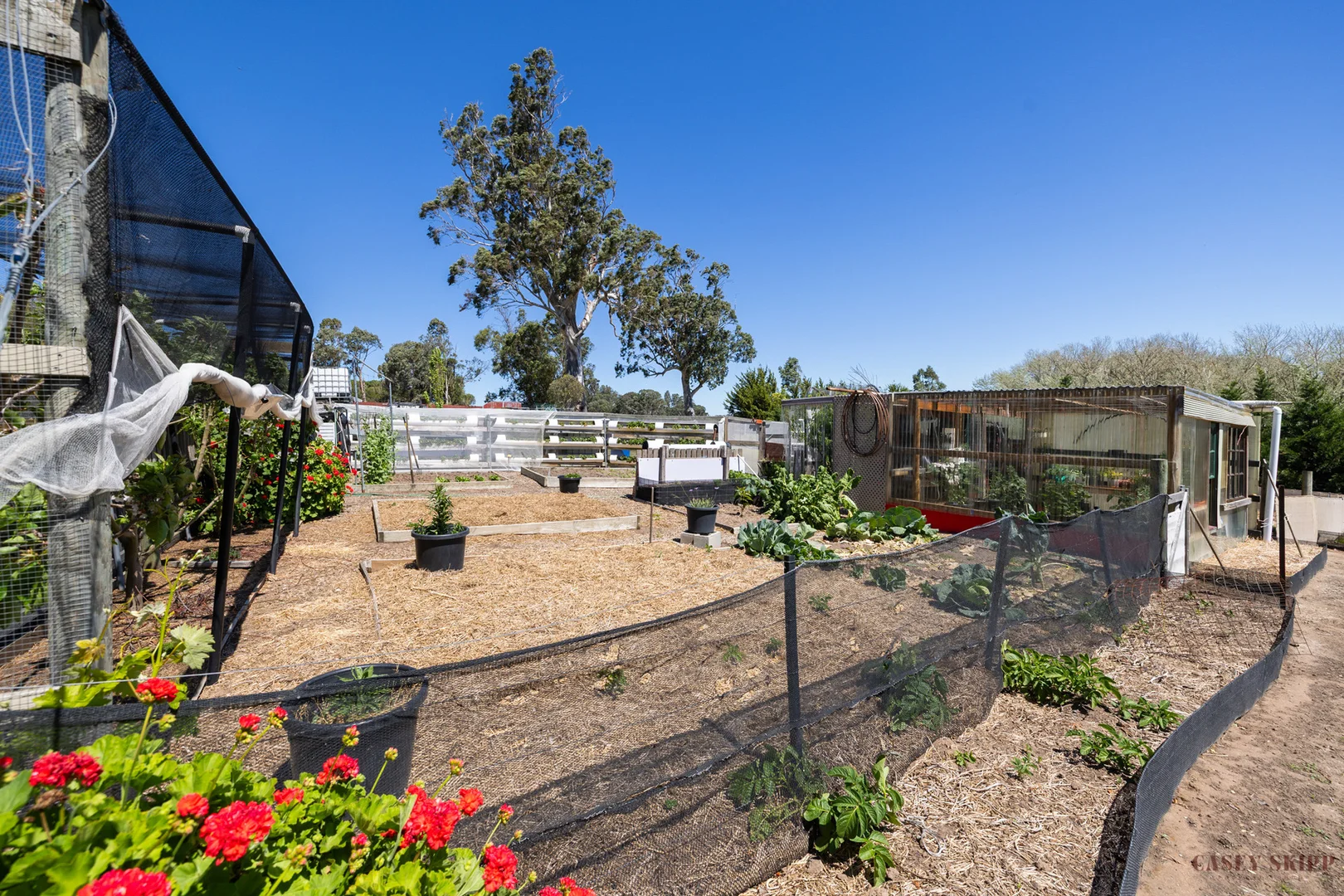 Additional image 21 of 895 Lindenow-Glenaladale Road, Walpa VIC 3875