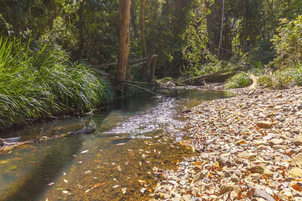 Additional image 4 of 92 Fishers Ridge, Mortons Creek NSW 2446