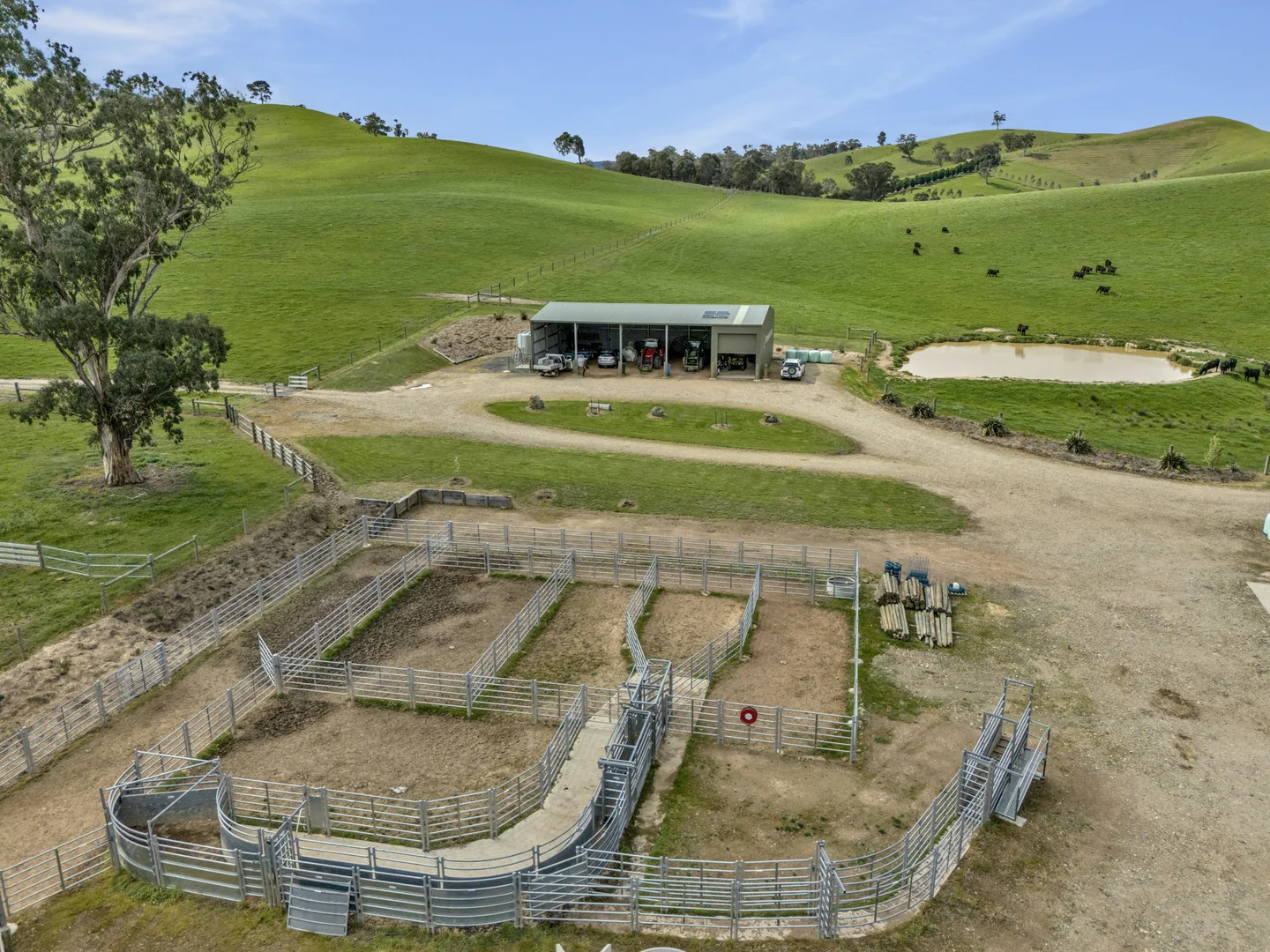 Additional image 12 of 146 Hobans Road, Alexandra VIC 3714