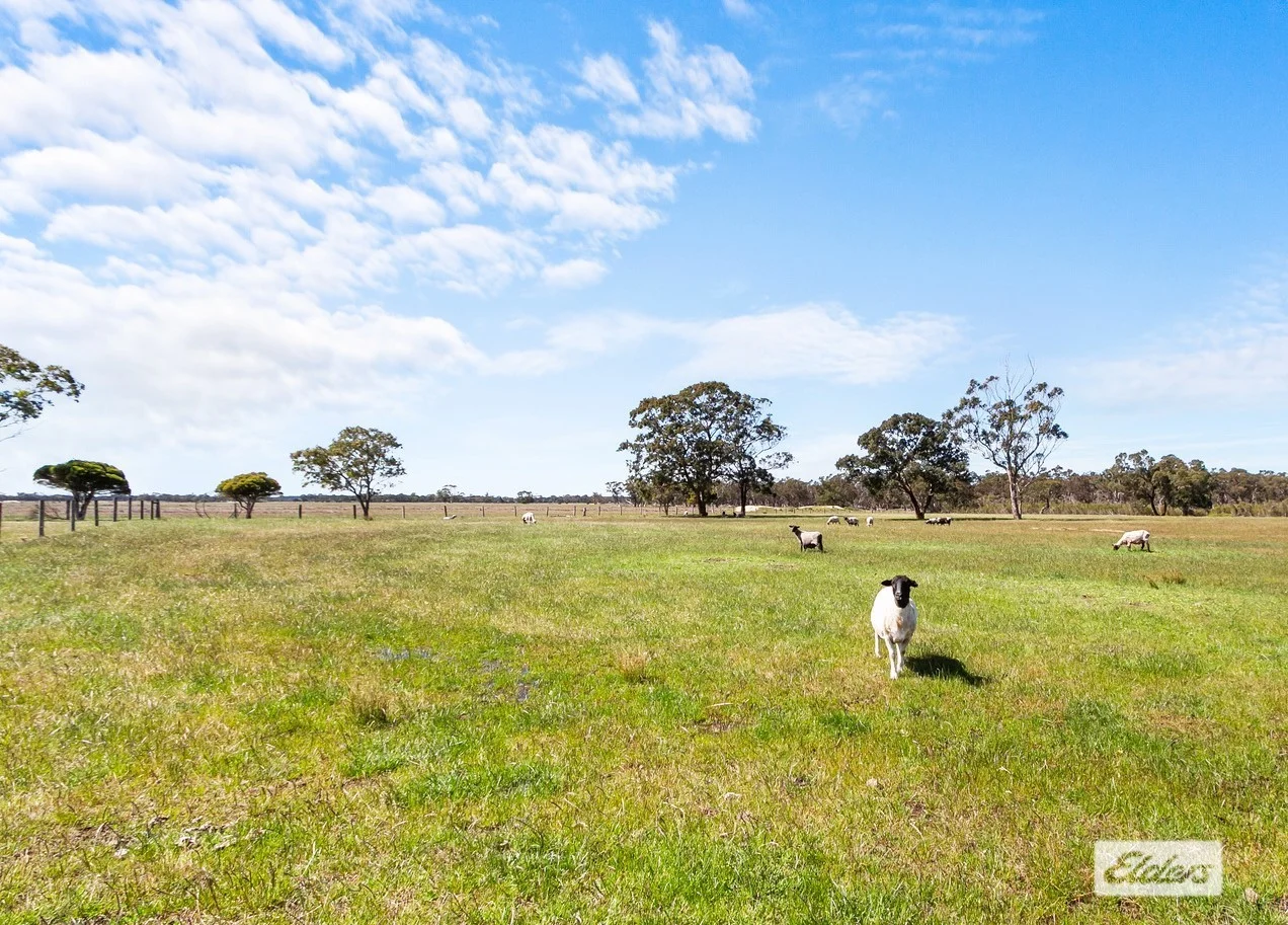 Additional image 17 of 628 Nicholls Road, Stradbroke VIC 3851