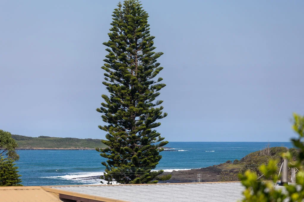 Additional image 13 of 24 Harrington Crescent, Bawley Point NSW 2539