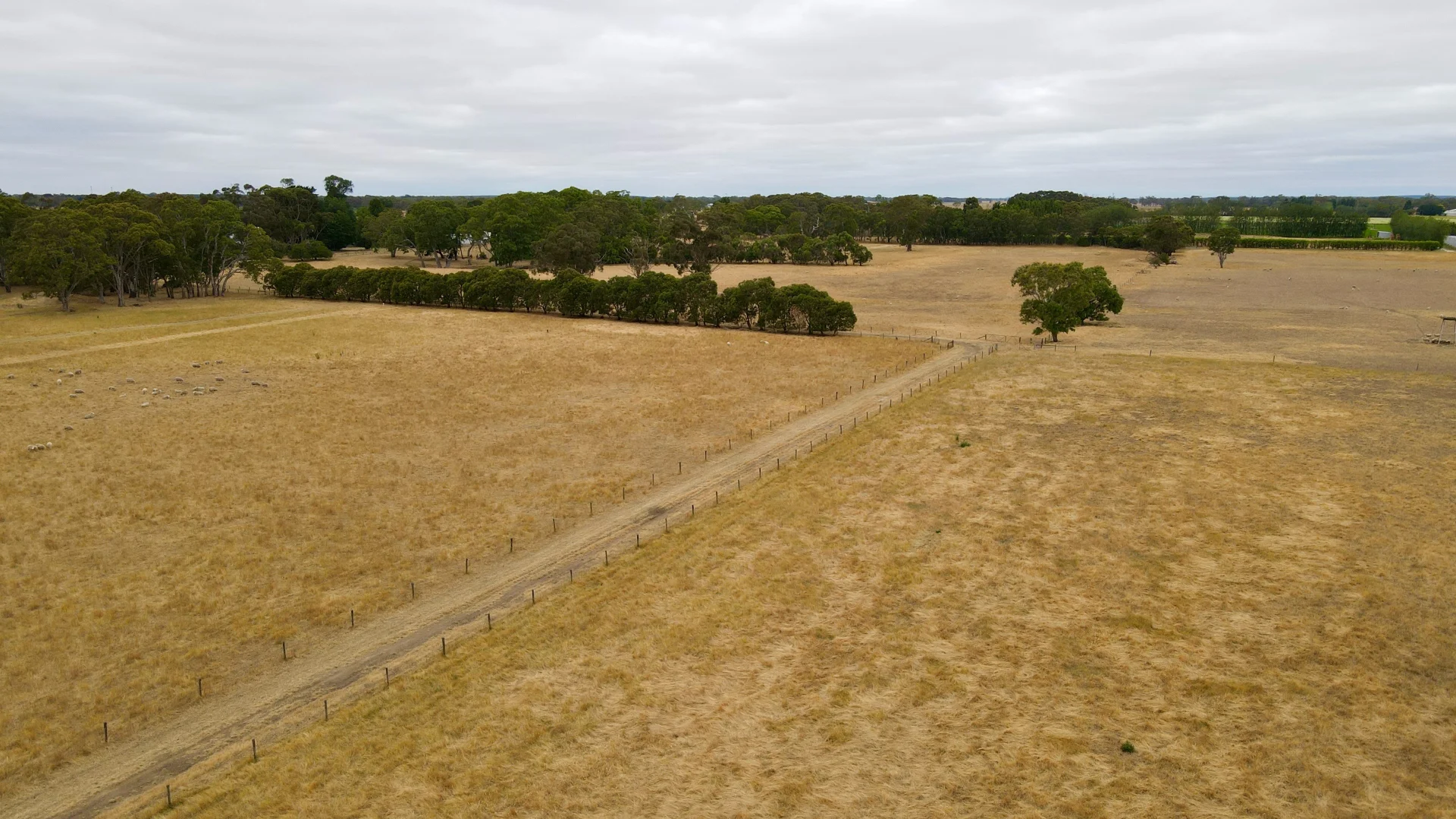 Additional image 4 of Lot 899 Mount McIntyre Road, Kalangadoo SA 5278