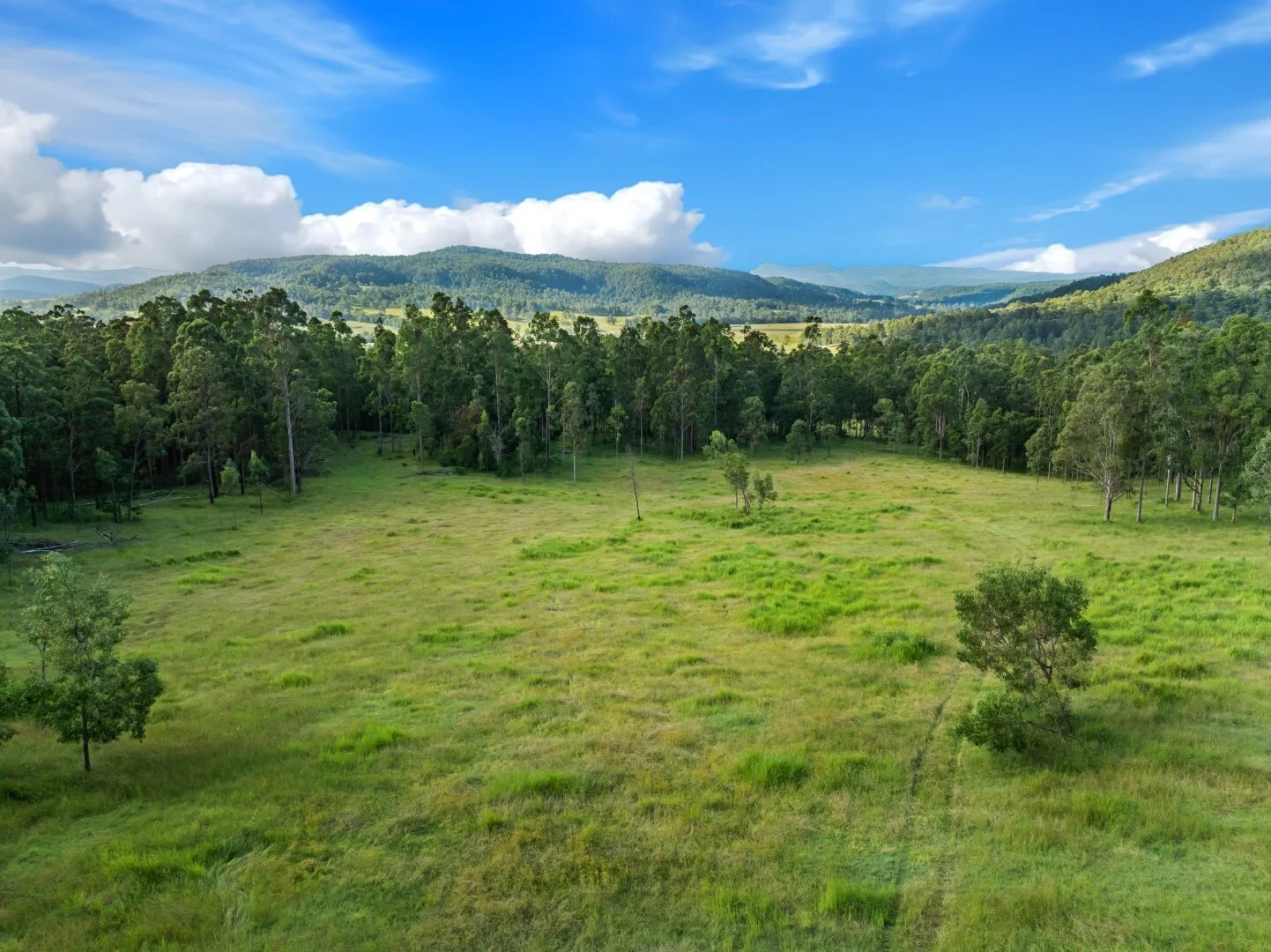 Additional image 17 of 62-69 Duck Creek Road, Bonalbo NSW 2469