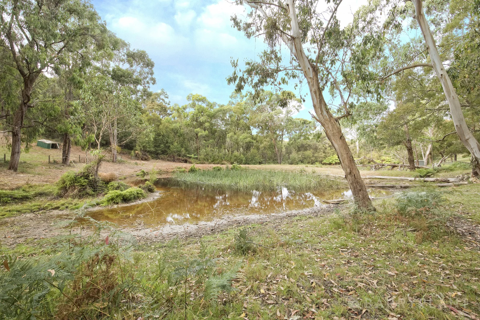 Additional image 23 of 435 Tschampions Road, Macclesfield VIC 3782