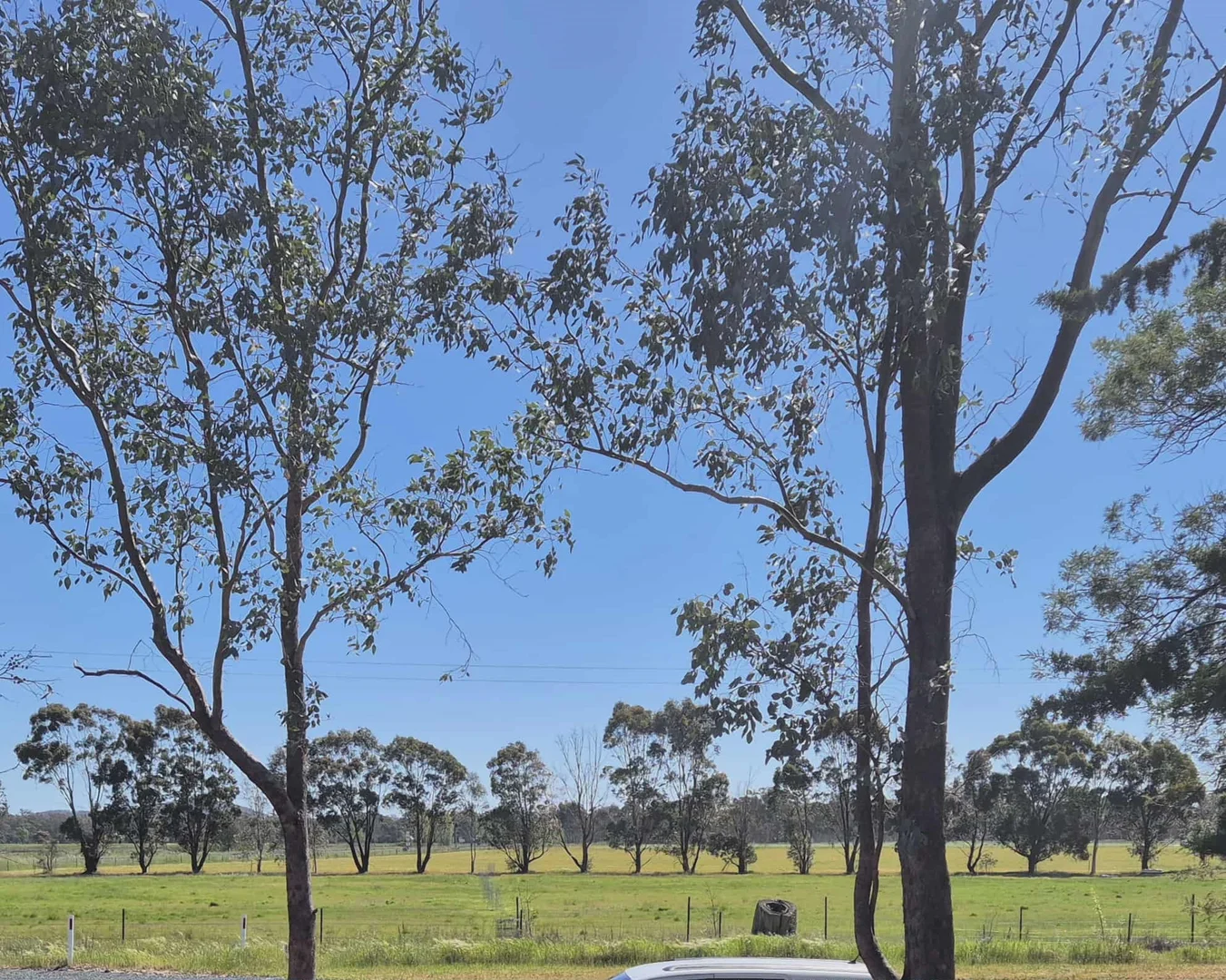 Additional image 13 of 84 Hibernia St, Stockinbingal NSW 2725