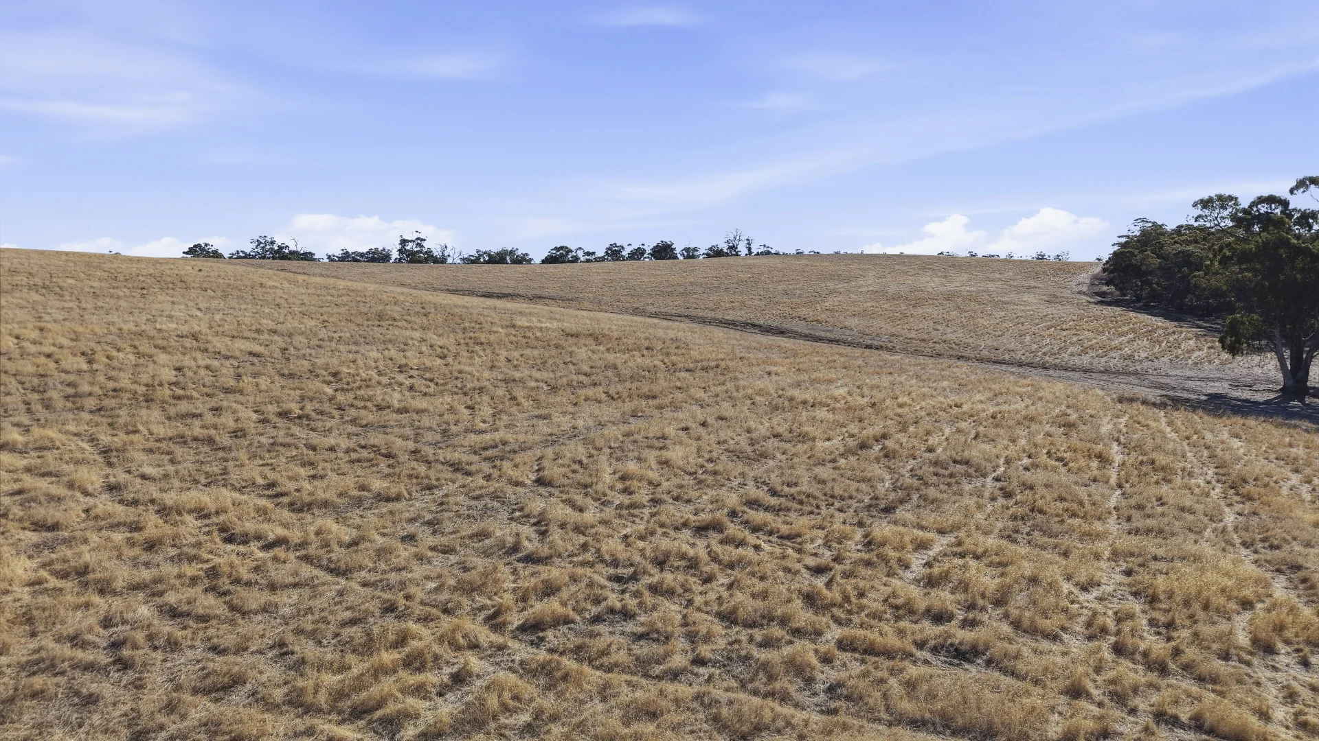 Additional image 25 of 83 Kelly Road, Undalya SA 5451