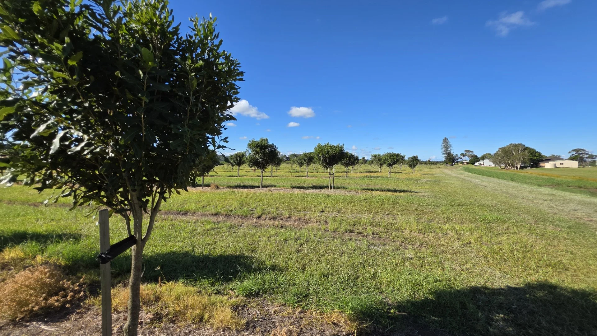 Additional image 8 of 292 Pimlico Road, Pimlico NSW 2478