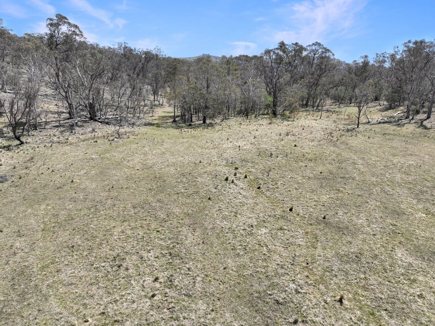 Additional image 27 of 844 Richardsons Road, Bungarby NSW 2630