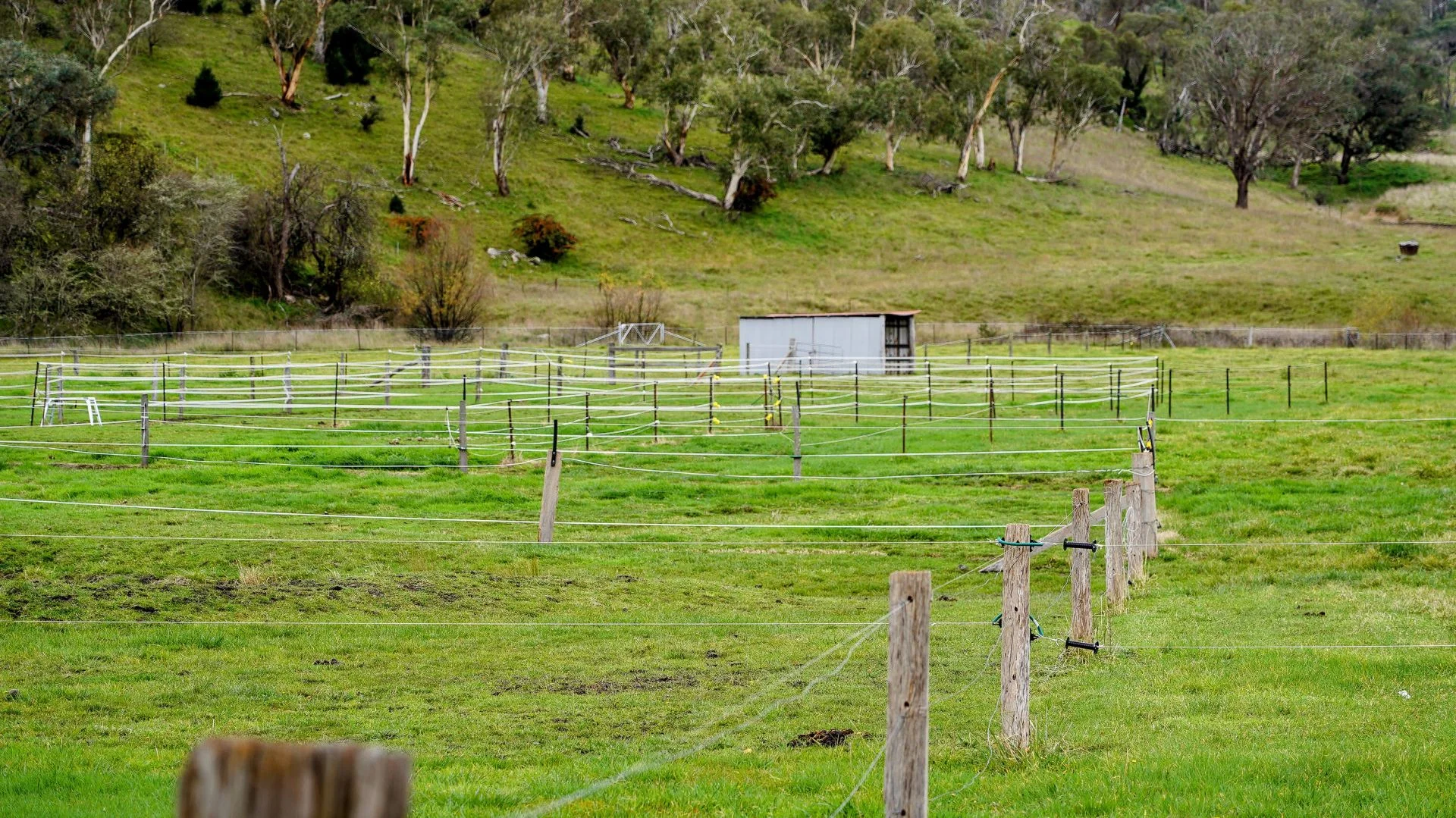 Additional image 30 of 105S Derby Street, Walcha NSW 2354