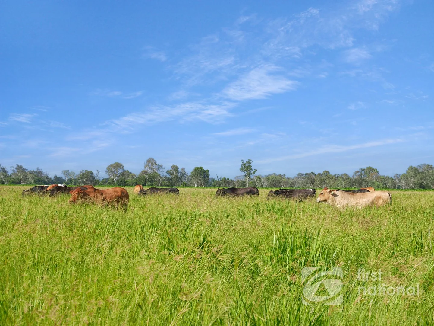 Additional image 30 of 149 Smiths Crossing Road, Bucca QLD 4670