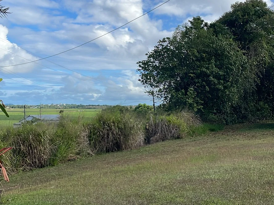 Additional image 5 of 2/129 Old Ferry Road, Goondi QLD 4860