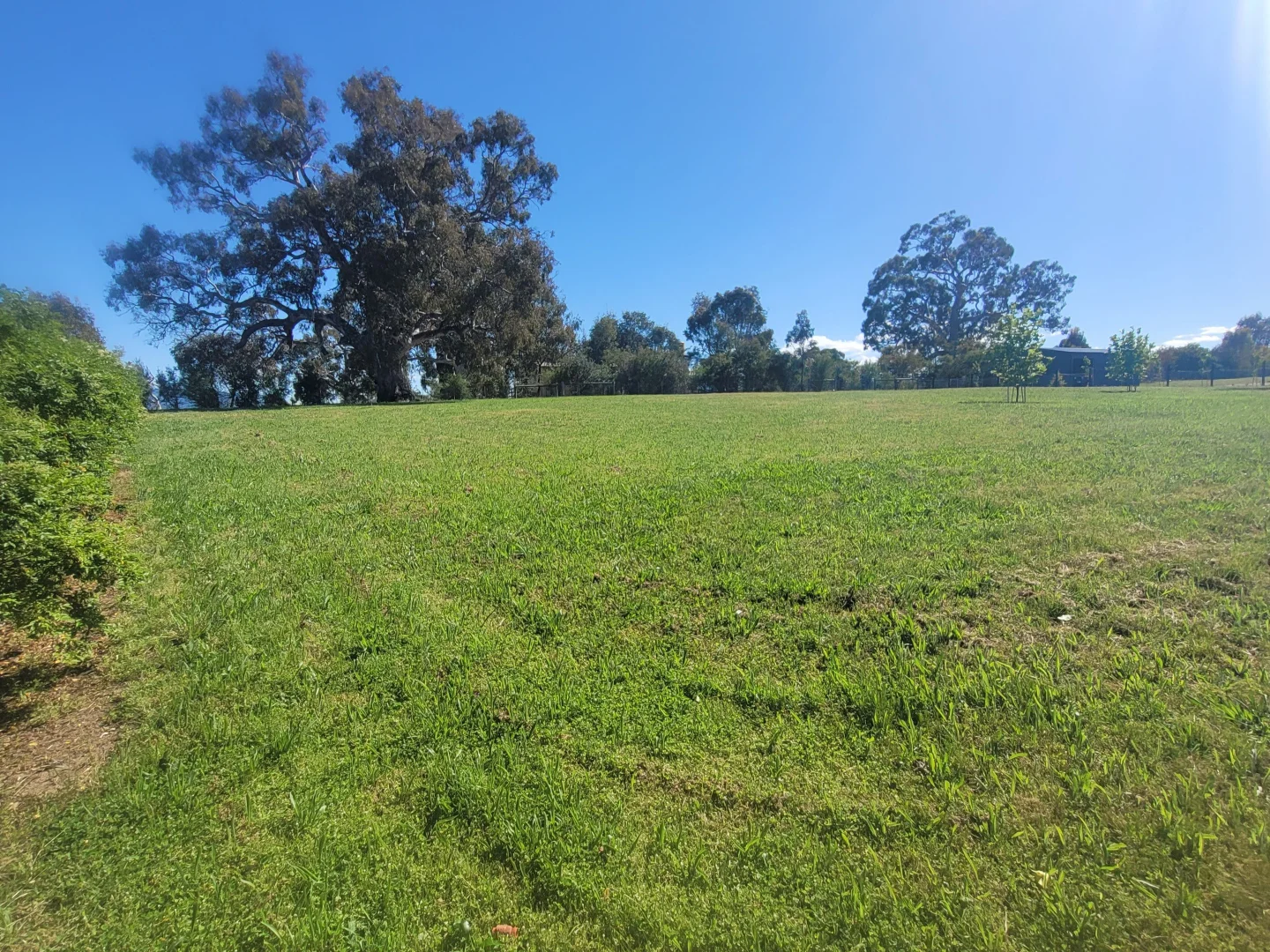 Additional image 4 of 9 Acacia Close, Mansfield VIC 3722