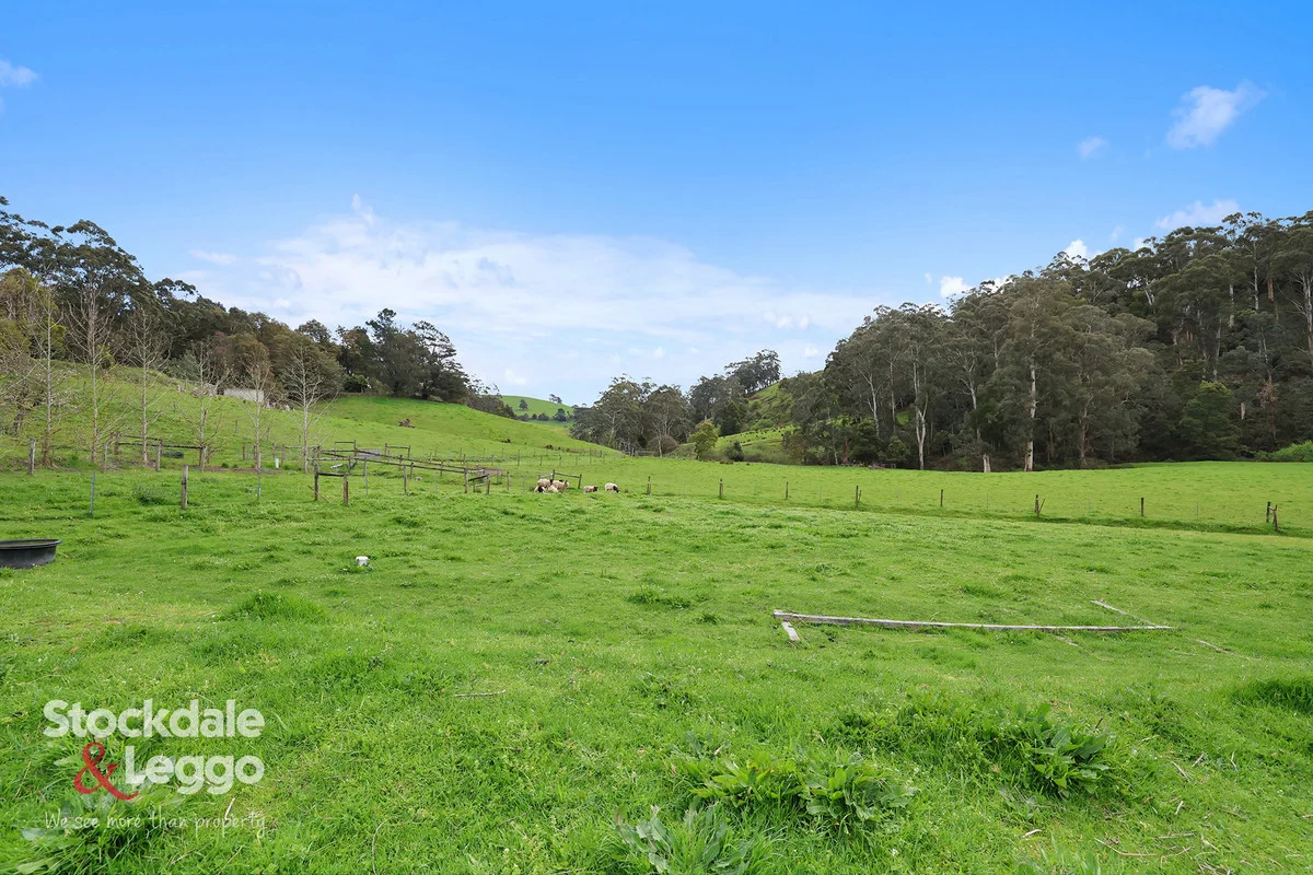 Additional image 27 of 140 Mirboo - Yarragon Road, Allambee South VIC 3871