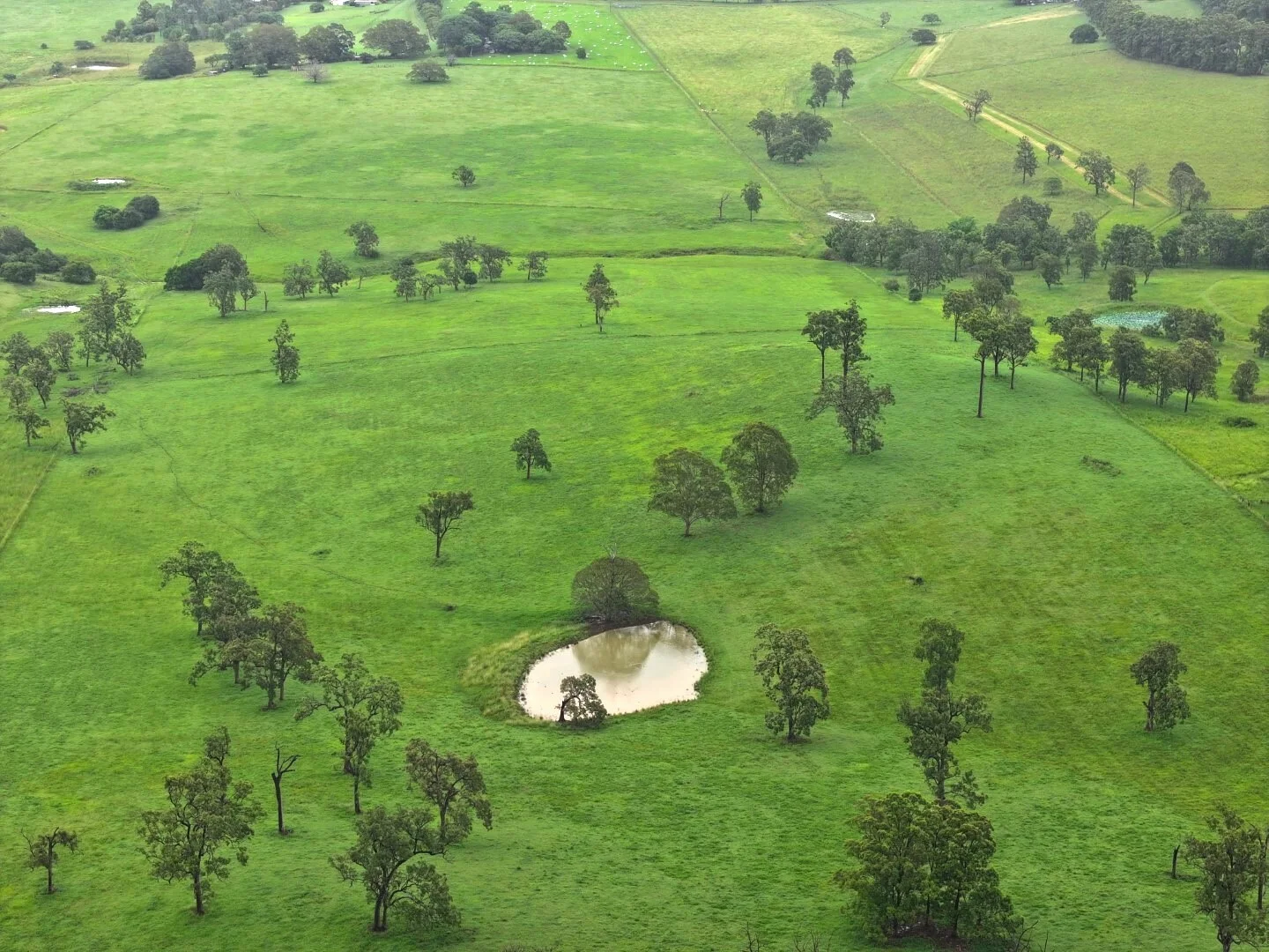 Additional image 21 of 284 Upper Stratheden Road, Kyogle NSW 2474