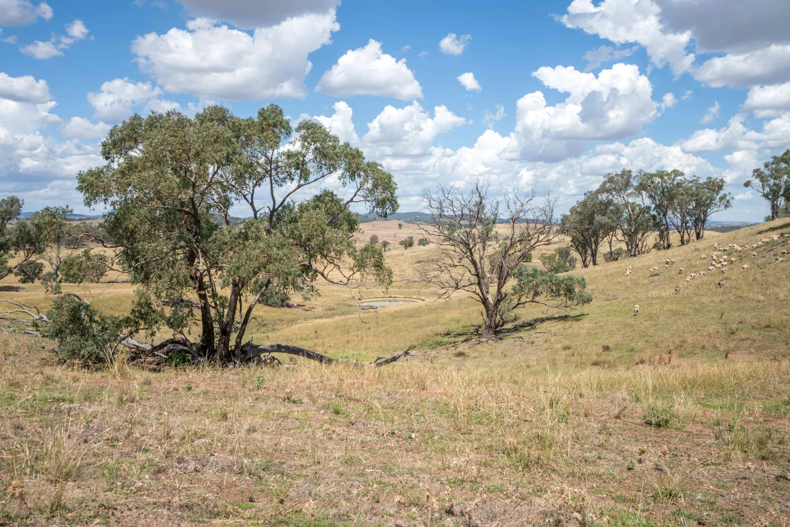 Additional image 19 of 1862 Euchareena Road, Euchareena NSW 2866