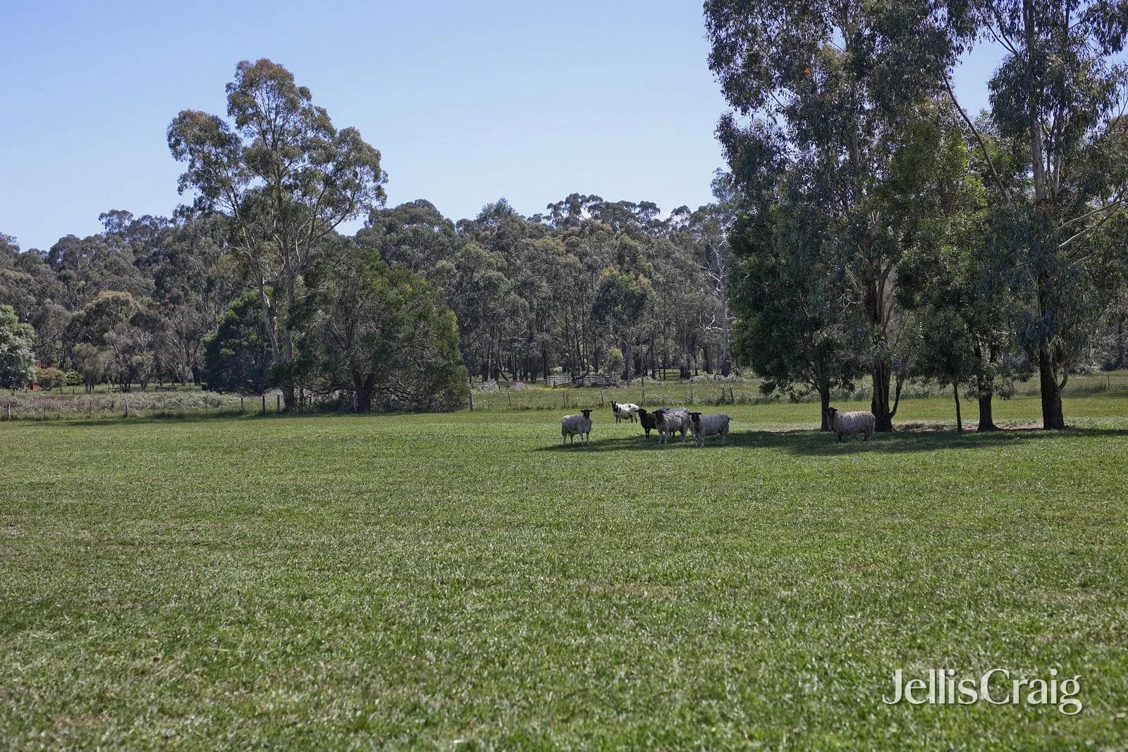 Additional image 30 of 260 Healesville Koo Wee Rup Road, Healesville VIC 3777