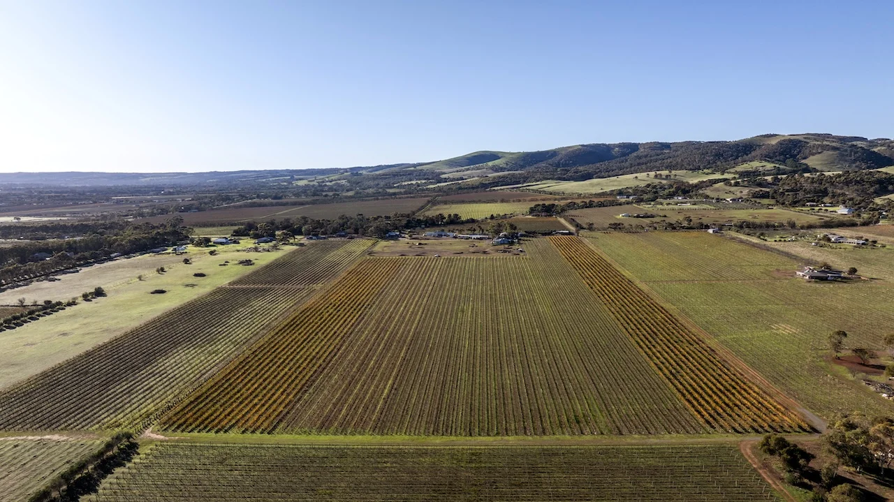 Additional image 43 of 428 Plains Road, Sellicks Hill SA 5174