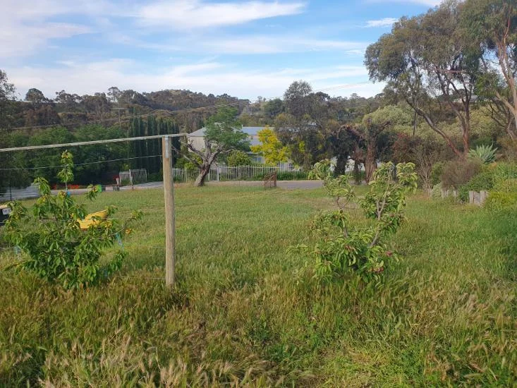 Additional image 6 of 20 Sarah Street, Penrice SA 5353