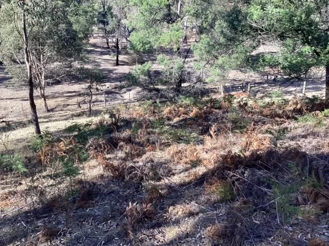 Additional image 10 of Lot 25 (26 Hewitts Road, Linton VIC 3360