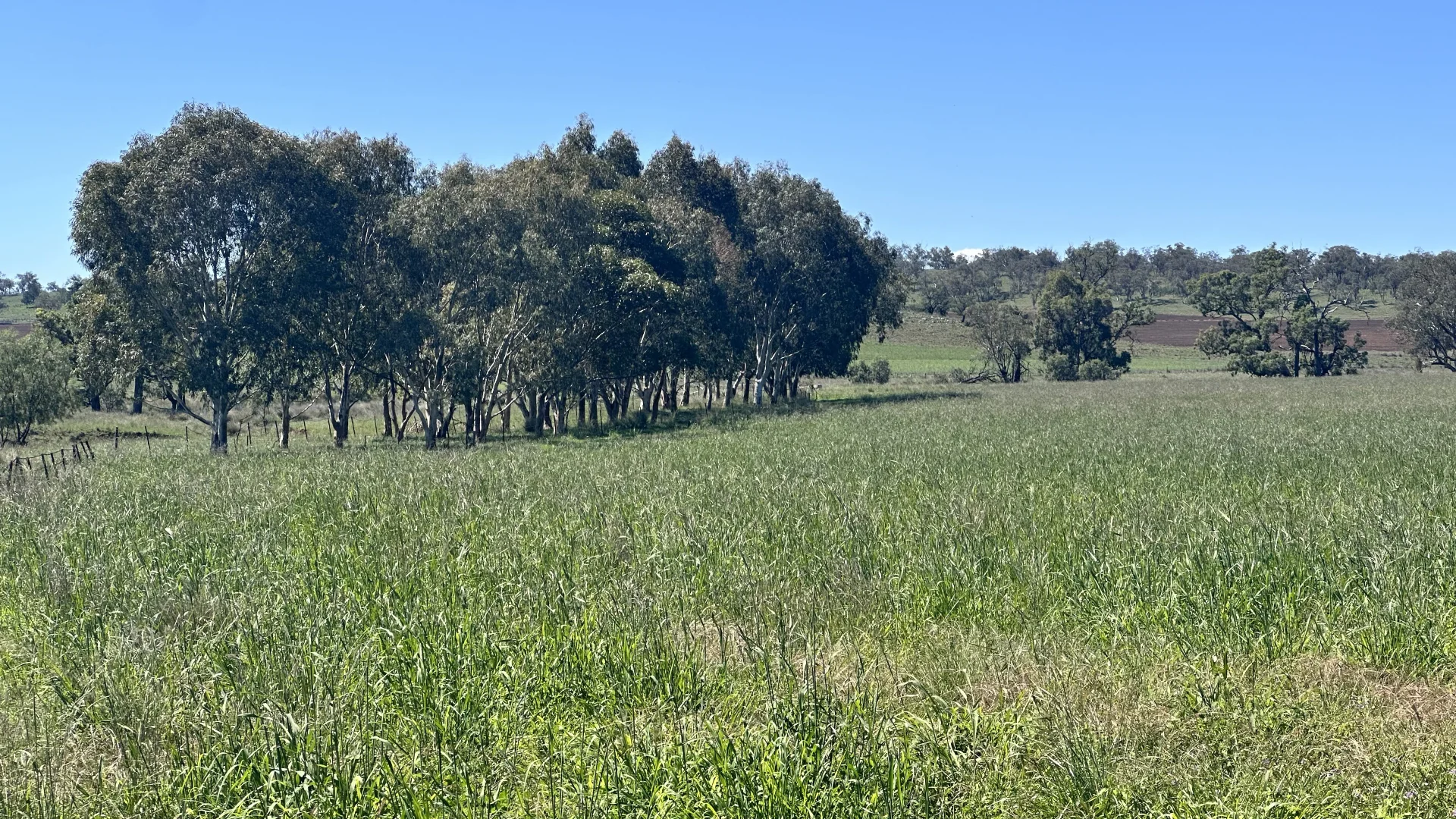 Additional image 3 of 450 Bridges Road, Gunnedah NSW 2380