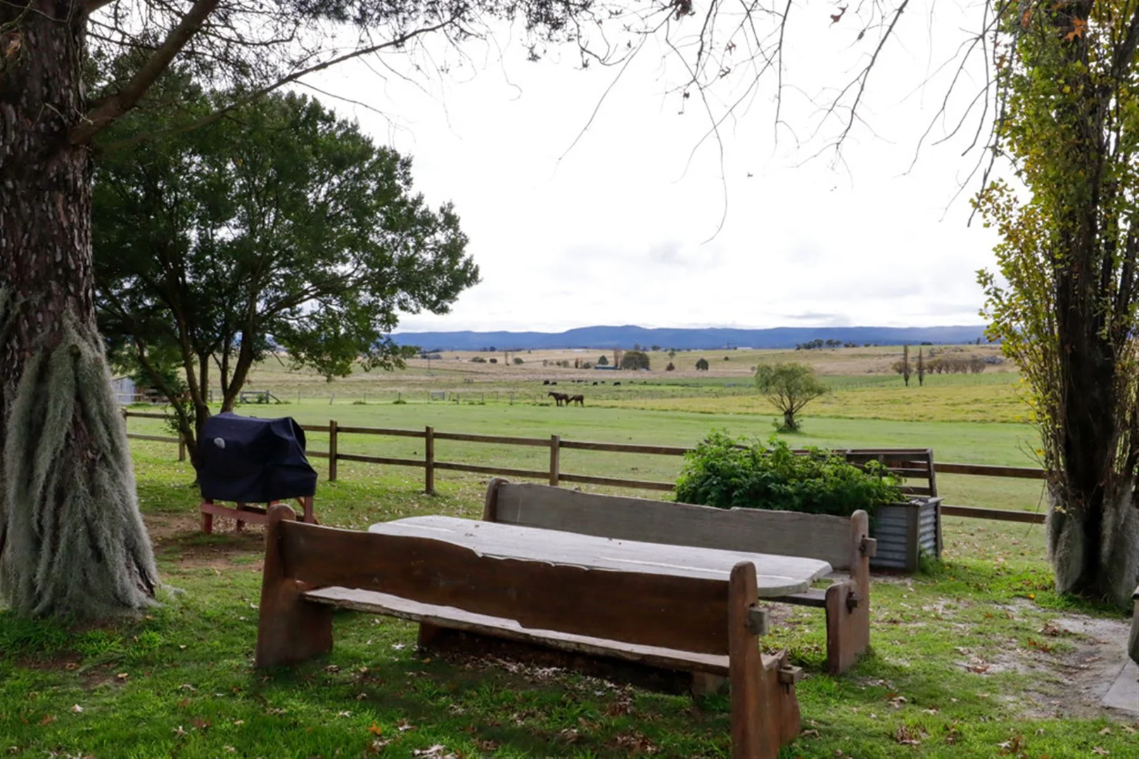Additional image 22 of 12436 Bruxner Highway, Tenterfield NSW 2372