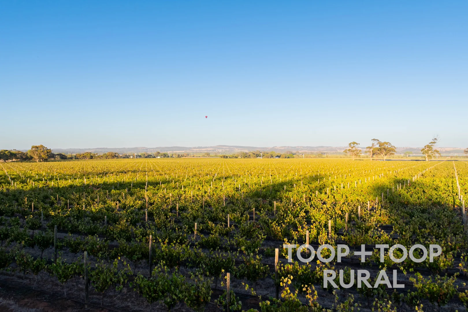 Additional image 5 of 1404 Research Road, Ebenezer SA 5355