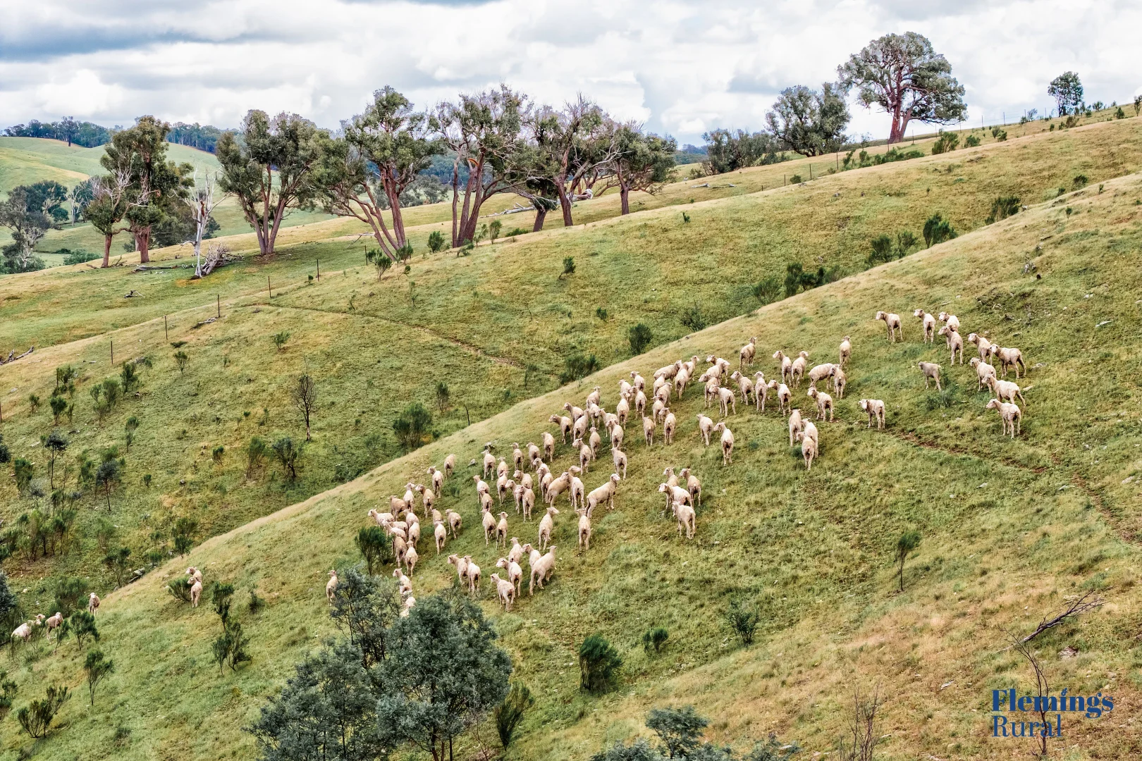 Additional image 4 of 1479 Grassy Creek Road, Rugby NSW 2583