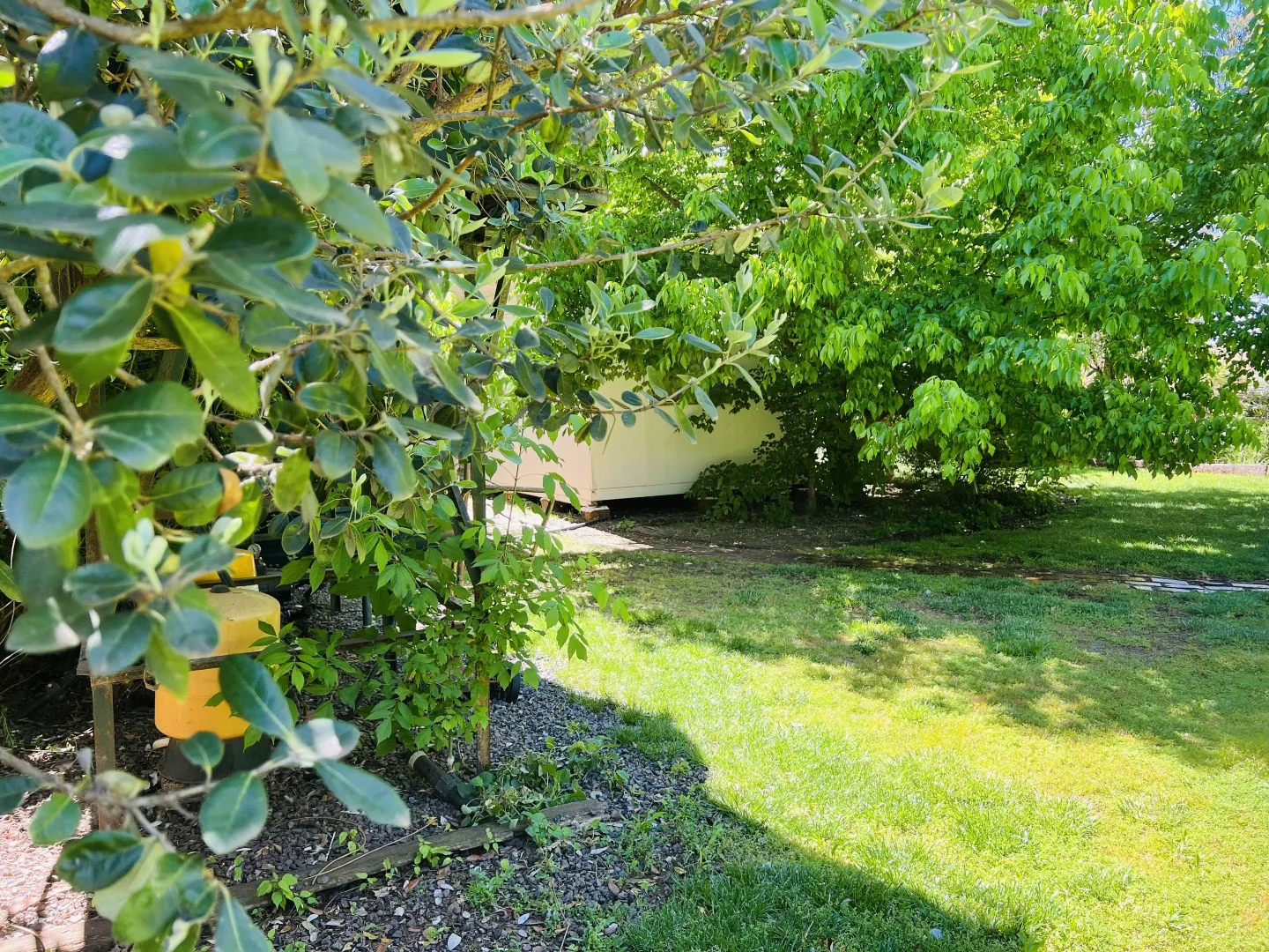 Additional image 3 of 651 Jerilderie Road, Berrigan NSW 2712