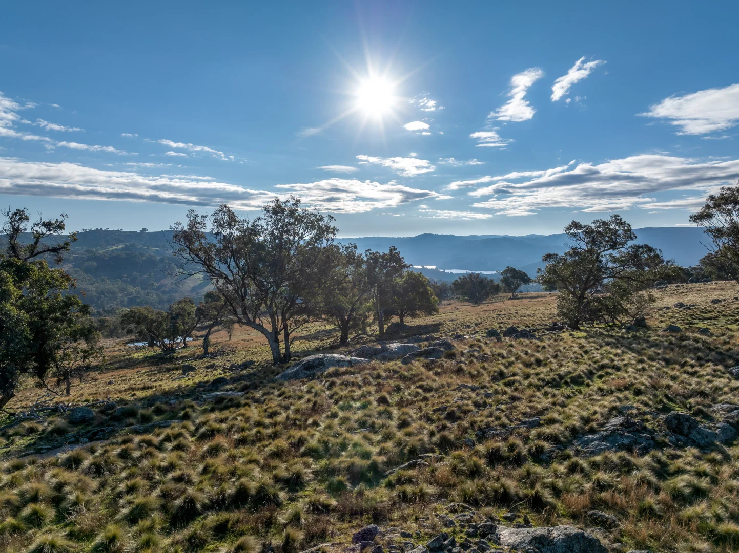 Additional image 15 of 498 (LOT A) Decca Road, Bigga NSW 2583