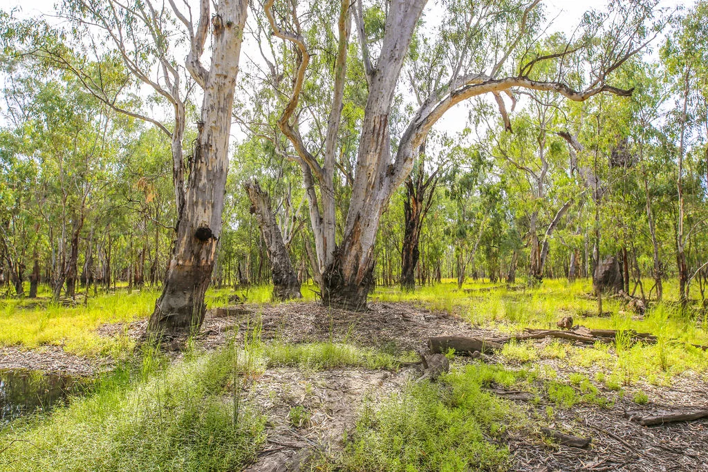 Additional image 9 of Lot 19, 20, 23 & 24 - 650 Yarraman Road, Moama NSW 2731