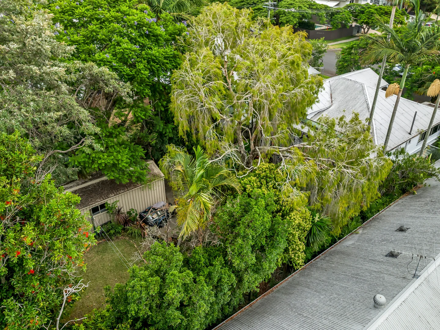 Additional image 6 of 27 Long Street, Hendra QLD 4011