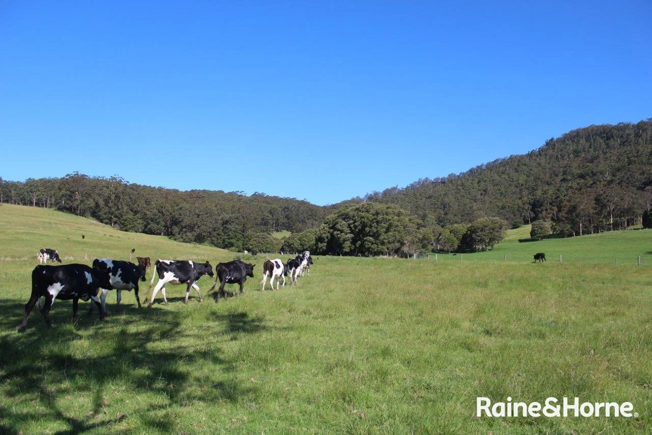 Additional image 10 of Lot 2 Bryces Road, Far Meadow NSW 2535