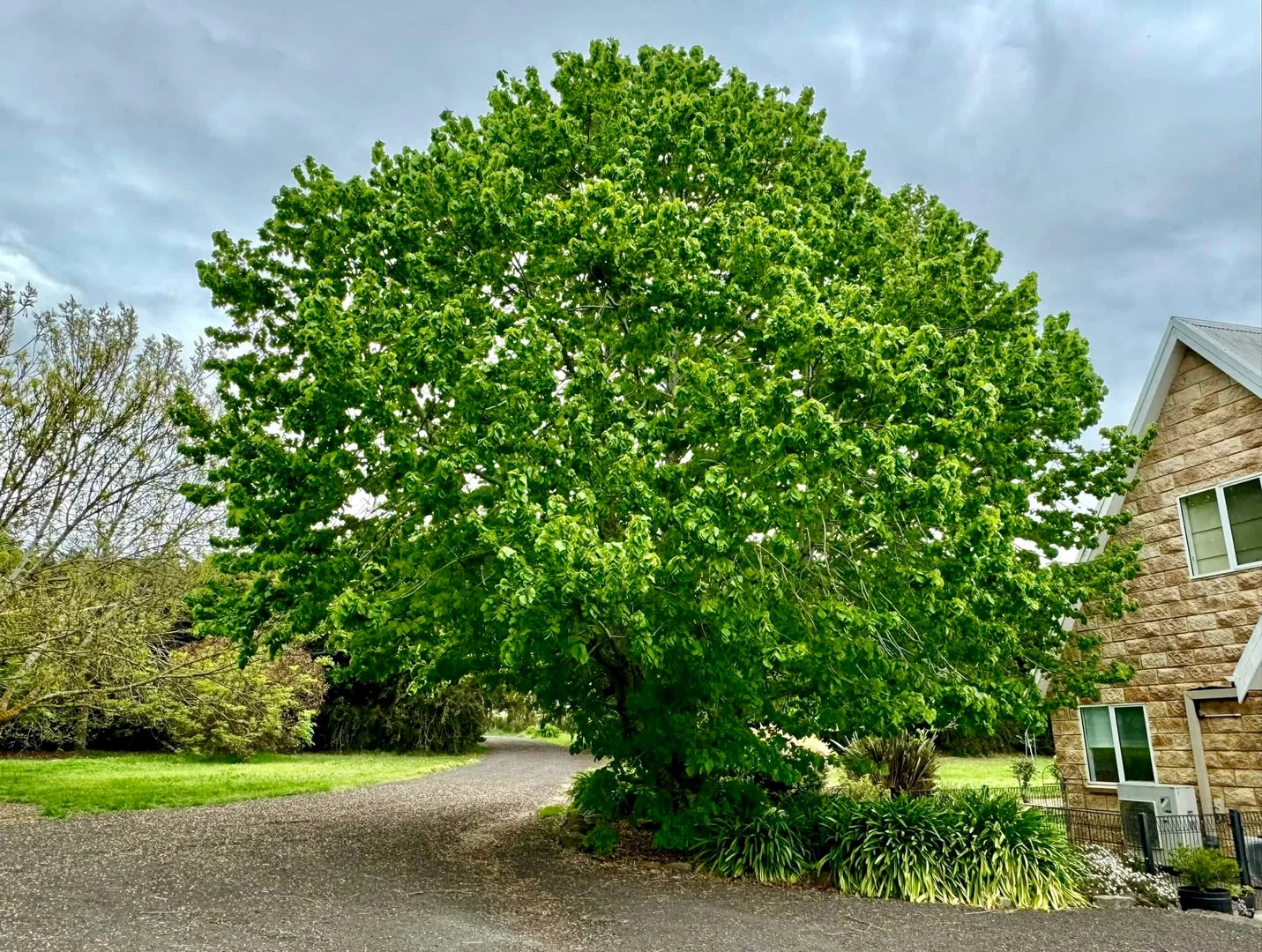 Additional image 29 of 299 Stag Road, Kingston VIC 3364